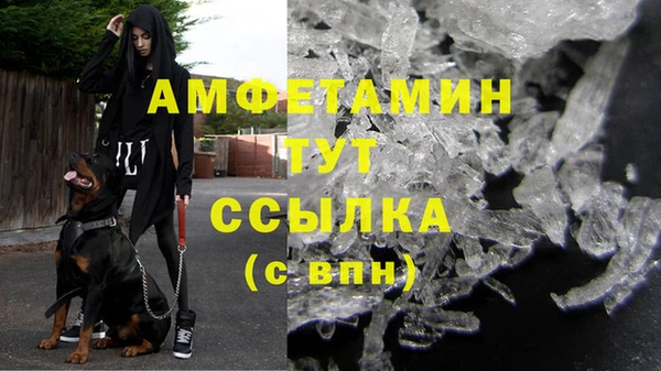 прущие крисы Вяземский
