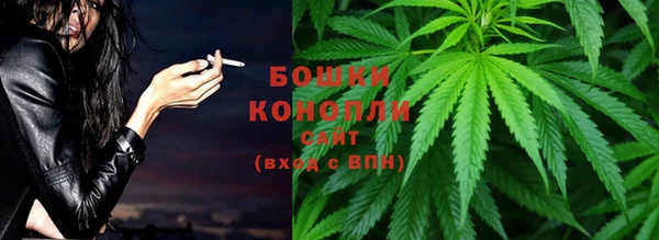 стаф Вязники