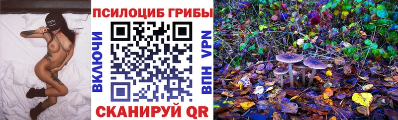 Купить где  Могоча  Псилоцибиновые грибы ЛСД 